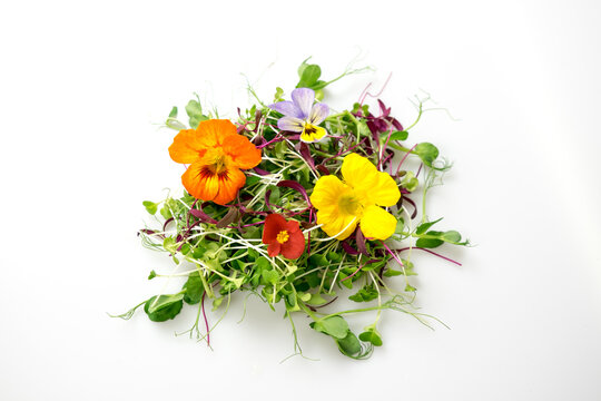 Edible flowers and microgreens mix isolated: pea shoots, broccoli, orach, nasturtium, begonia, viola