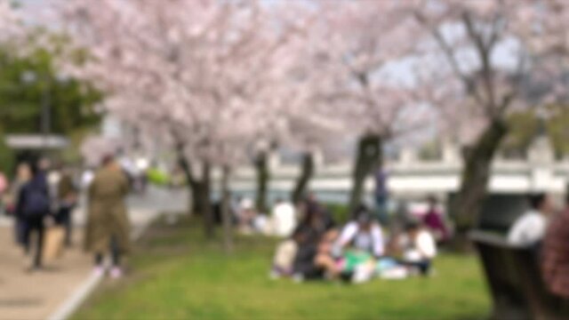 ぼかし背景素材: 満開の桜の下で花見を楽しむ人々  4K  広島平和記念公園の桜風景  2021年3月29日撮影
