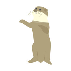 カワウソのイラスト