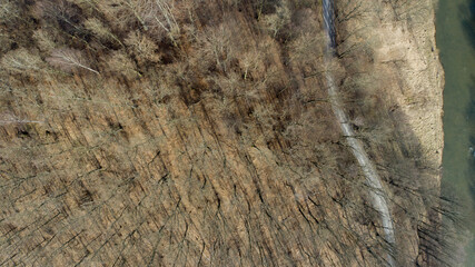 Naklejka premium The beech forest on the bank of a mountain river (Kaczawskie Mountains, Poland)