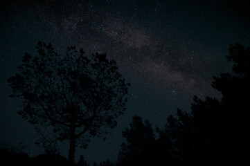 Beautiful night sky with Milky way. Landscape with stars.