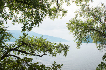 Teletskoye lake in Altai mountains