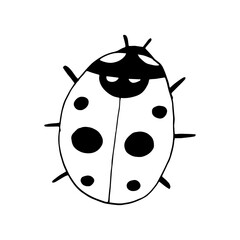 ladybug icon. hand drawn doodle style. vector, minimalism, monochrome, sketch. insect.