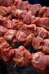 Marinated meat on skewers for further cooking. Close-up. Selective focus. Vertical.