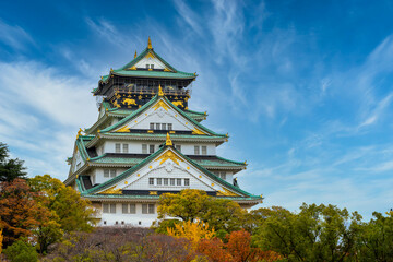 Obraz premium Osaka castle beautiful attraction ancient architecture landmark Osaka castle in autumn, Osaka City, Kansai, Japan.