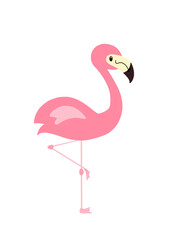 Hand drawn cute pink flamingo illustration.