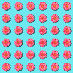 Seamless rythm pattern with gentle pink gerbera flowers on pastel blue background.