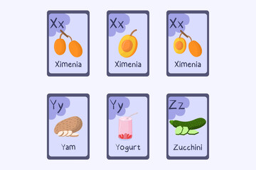Colorful alphabet flashcard Letters X,Y, Z - ximenia, yam, yogurt, zucchini.