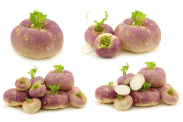 freshly harvested spring turnips (Brassica rapa) on a white background