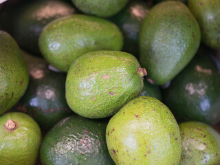 Lots of avocados. Top view, close-up