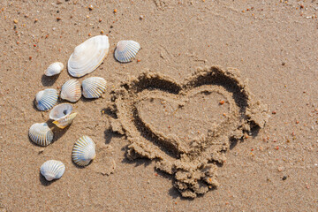 Sea shells and heart hand drawn on a sandy beach