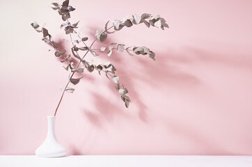 Dry eucalyptus branch in white ceramic vase in bright sunlight with shadow on pastel pink wall. Elegant home decor in simple calm wellness style.