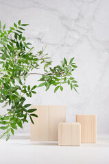 Eco natural style for presentation and display product - wooden podiums with green branch of tree...