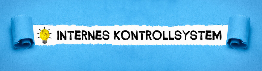 Internes Kontrollsystem