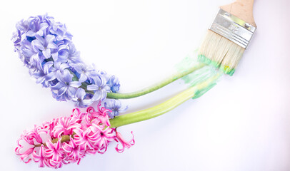 Purple and violet hyacinth collage with a paint brush on white. Top view, close up. Spring .New...