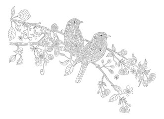 Doodle birds black line drawing vector illustration