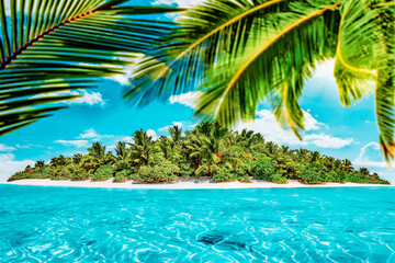 Fototapeta na wymiar Whole tropical island within atoll in tropical Ocean on a summer day. Uninhabited and wild subtropical isle with palm trees. Equatorial part of the ocean, tropical island resort.