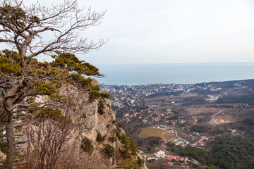 Coast of the Crimea peninsula, rocky mountains, aerial view of the sea resort of Yalta. Health trail, Botkin Terrenkur.