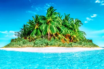 Foto op Plexiglas Whole tropical island within atoll in tropical Ocean. © BRIAN_KINNEY