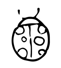 Vector drawing of a small round beetle with dots on its back with antennae top view of a black line on a white background. isolated element ladybug hand-drawn in doodle style, for children's product d