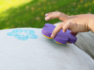 Pony Painting