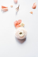 Bright Isolated Rose Floral Minimalist Creative Layout Fresh Floral