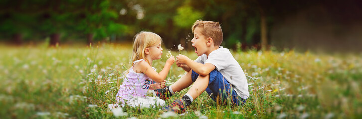 happy children play outdoor with the dandelions