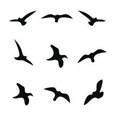 Obraz na płótnie Canvas Flying Bird Silhouette Icons Set