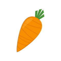 Carrot vector. Carrot on white background.