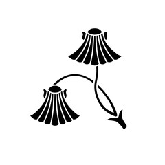 板屋貝紋・二葉板屋貝（ふたばいたやがい）/ 二葉イタラ貝 / 二葉伊平貝（ふたばいたらがい）