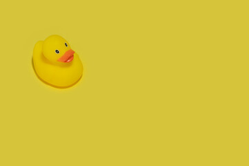 Yellow duck toy on a yellow background