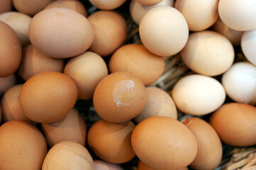 Organic eggs, raw
