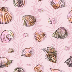 Beautiful seashells. Seamless pattern. Hand drawing. Illustration.