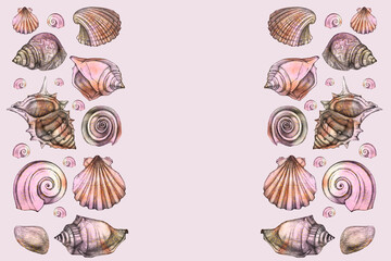 Beautiful seashells. Sea background.  Hand drawing. Space for yout text.