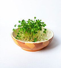 Green sprouts of microgreen of arugula, radish, mustard in yellow ceramic cup on white background...