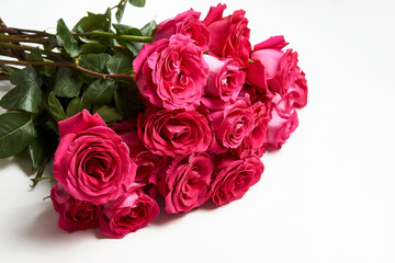 Bouquet of pink roses on white background with copy space