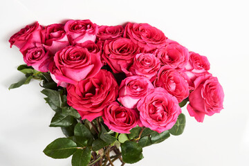 Bouquet of pink roses on white background with copy space