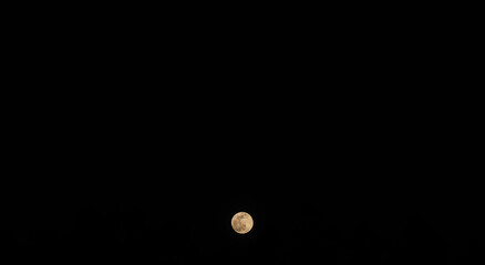 The big moon in the night