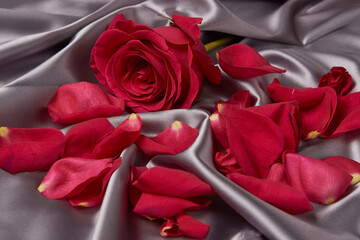 Pink rose on gray silk background with copy space