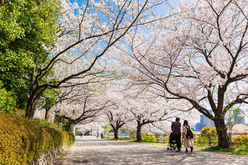 桜・春・家族　イメージ