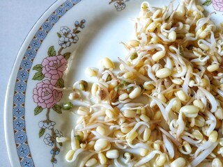 Soybean sprouts on plate with white background