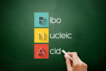 RNA - Ribonucleic acid acronym, medical concept background on blackboard