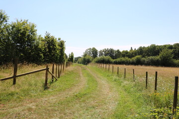 Contryside path in France 