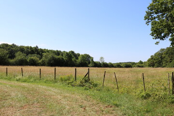 Contryside path in France 