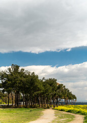 Beautiful spring landscape with scenic cloudscape at background