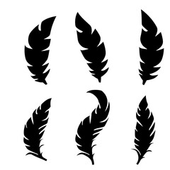 Collection of feather illustration, drawing, engraving, ink line art