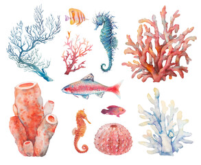 Watercolor sea life set: blue and red coral, seahorses, fish, urchin. Natural illustrations.Objects isolated on white background. Marine animal artwork - 424160895
