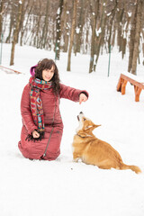 girl plays with cute welsh corgi in snow