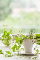 White mug with wild herbs, flowers. Romantic Wildflowers bouquet. Country life in cottage, Phytotherapy Medicinal Herbs