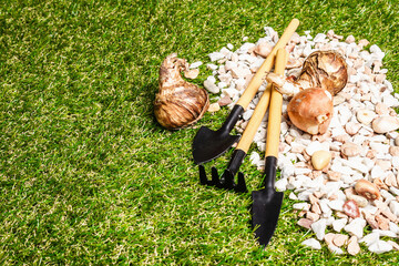 Spring planting and gardening concept